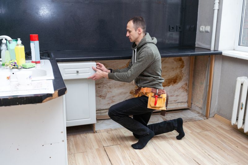 Broken Cabinet Repair detail